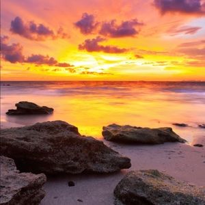 Meet your Posher, Sam